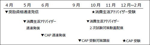 年間スケジュール